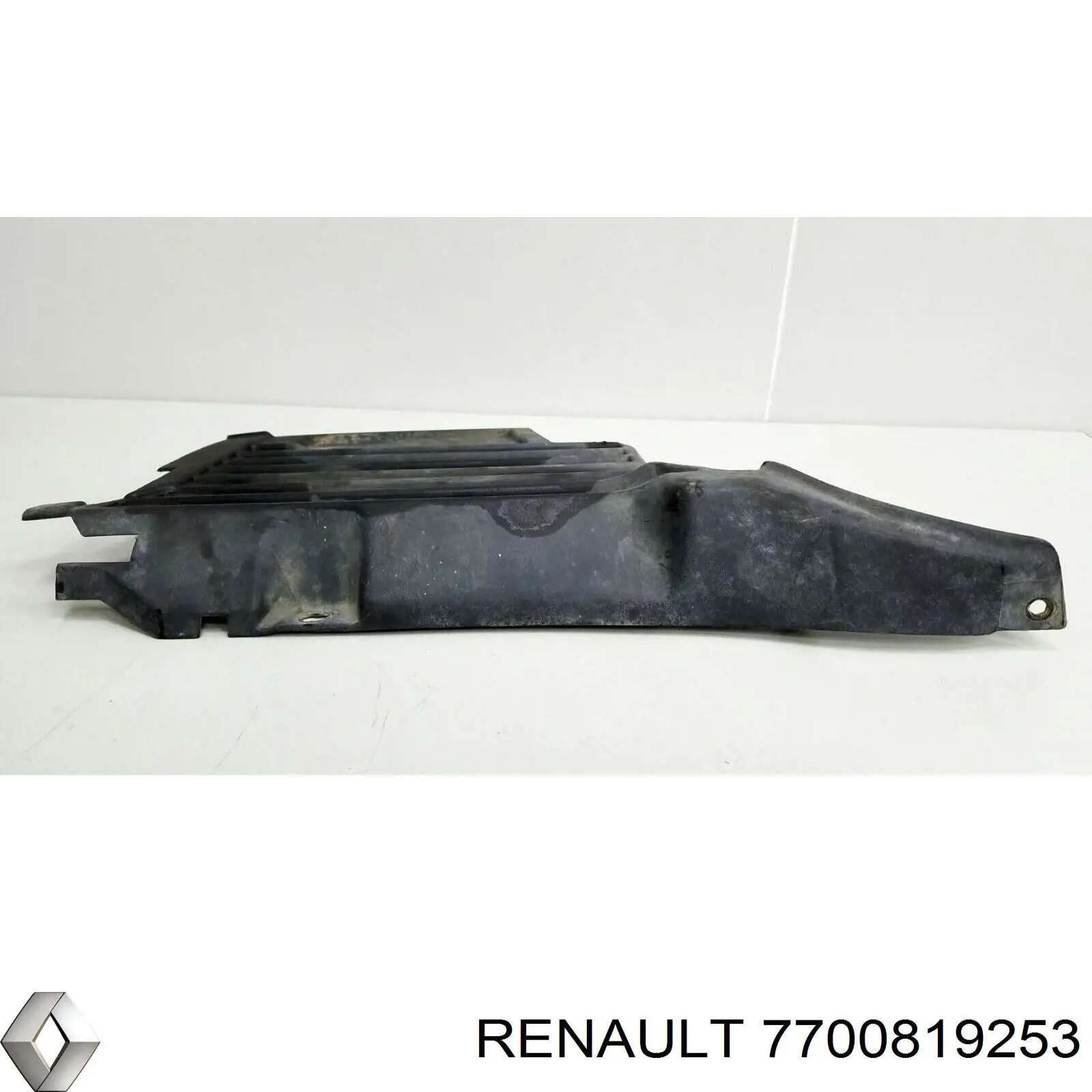  7700819253 Renault (RVI)