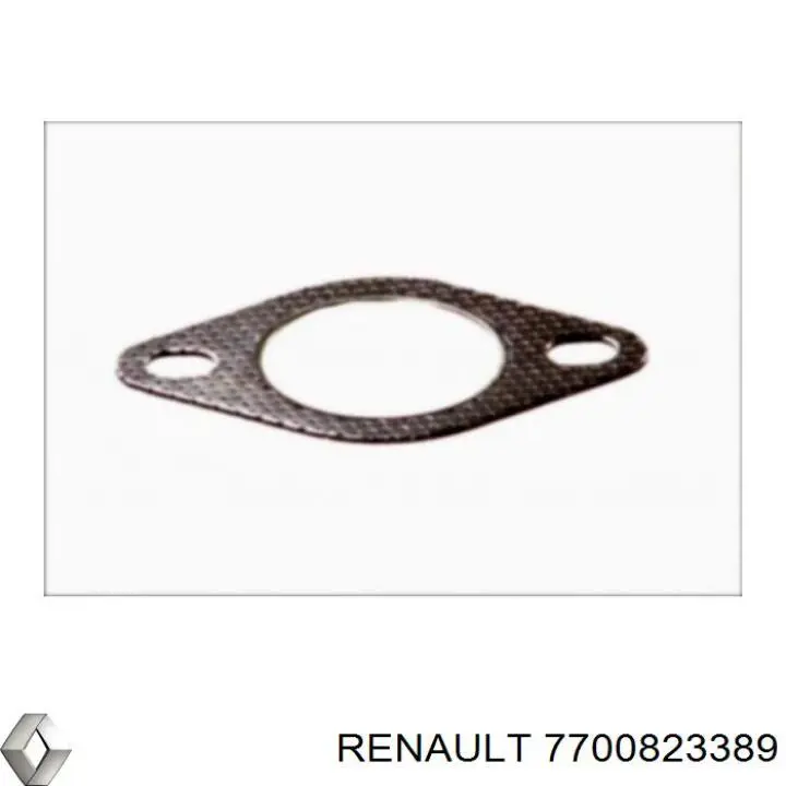  7700823389 Renault (RVI)