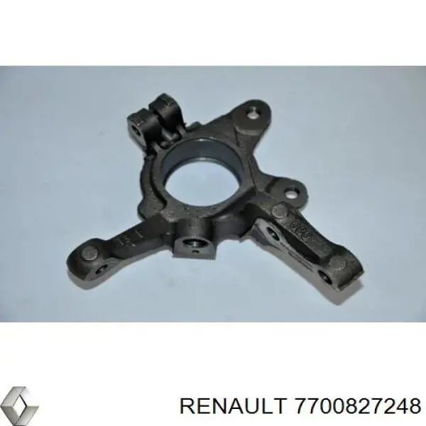  7700827248 Renault (RVI)