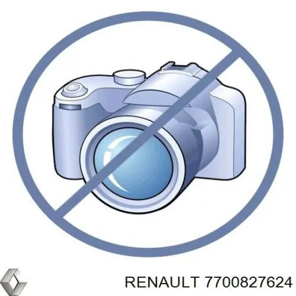 Амортизатор передний 7700827624 Renault (RVI)