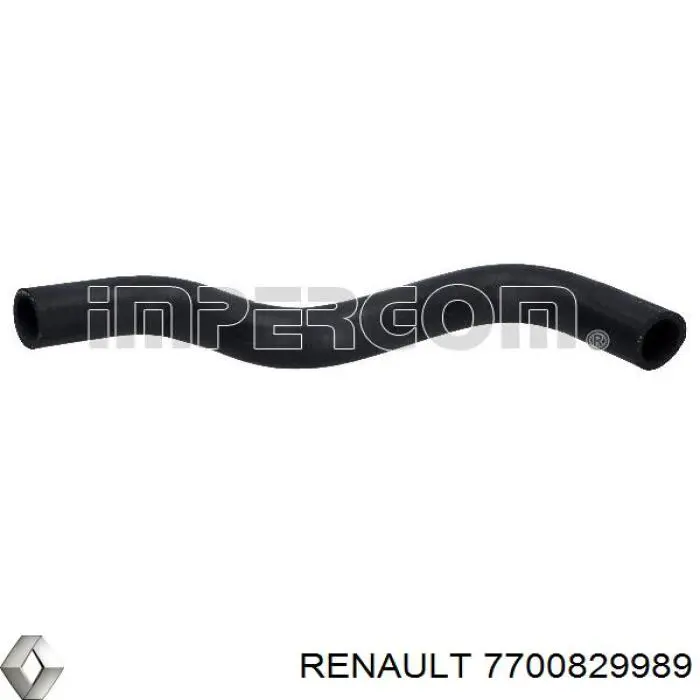  7700829989 Renault (RVI)