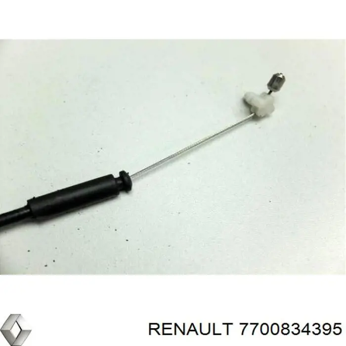 7700834395 Renault (RVI)