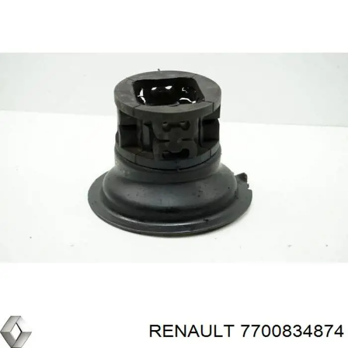 7700834874 Renault (RVI) 