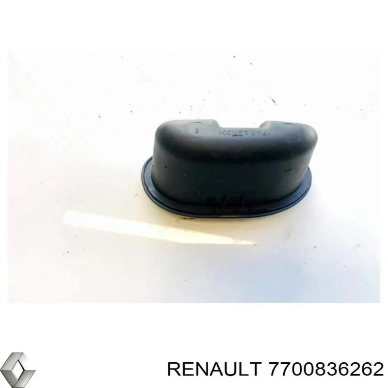  Renault (RVI) 7700836262