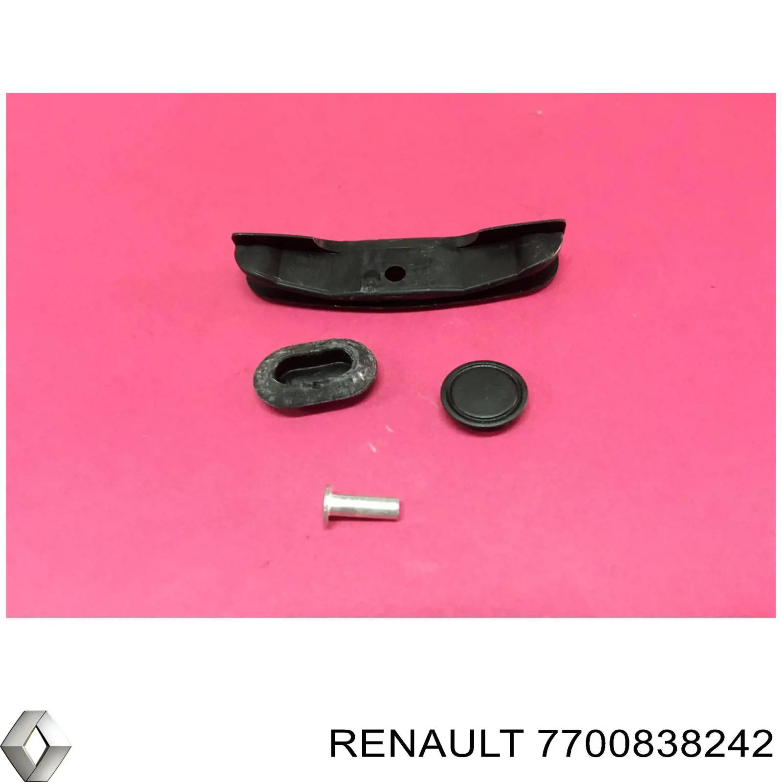 7700838242 Renault (RVI)