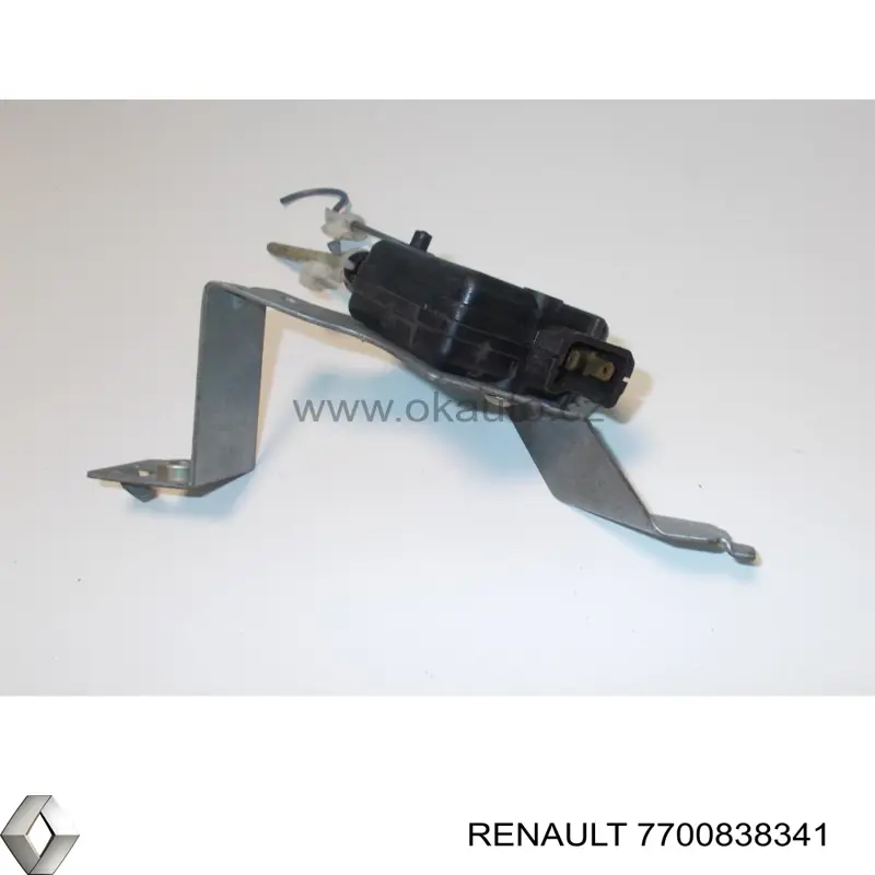  7700838341 Renault (RVI)