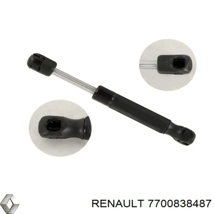 Амортизатор багажника 7700838487 Renault (RVI)