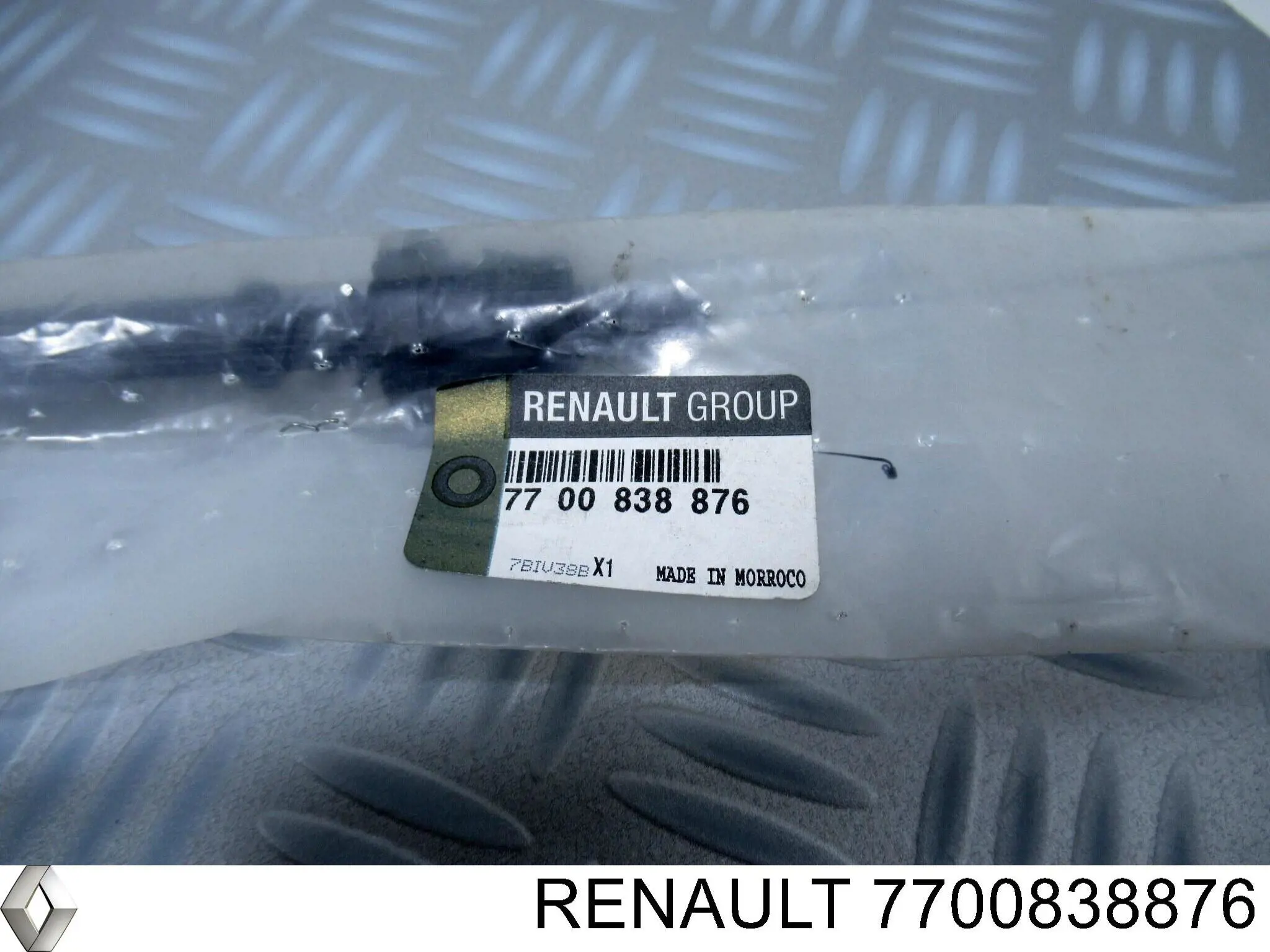  7700838876 Renault (RVI)