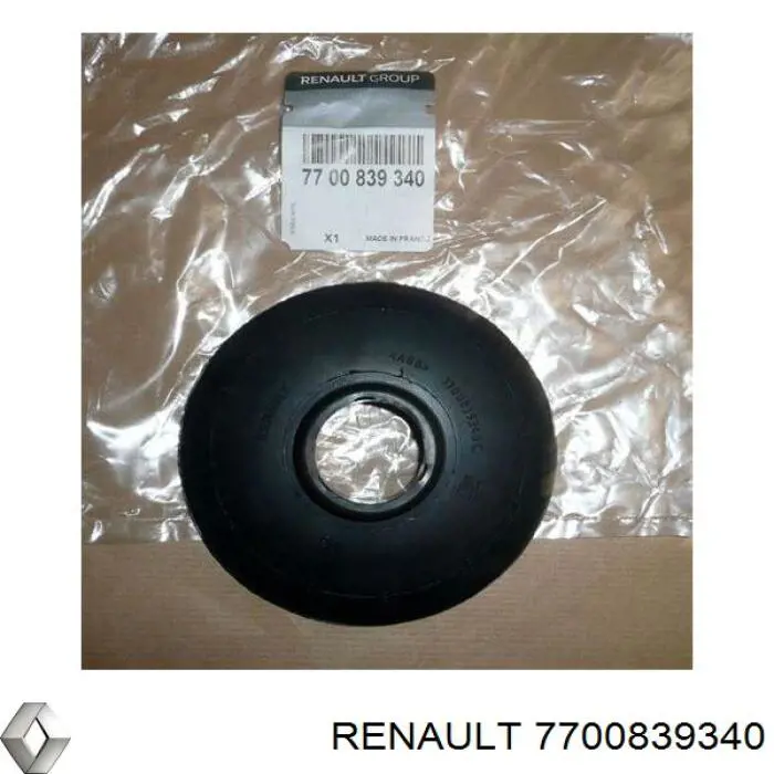 7700839340 Renault (RVI)