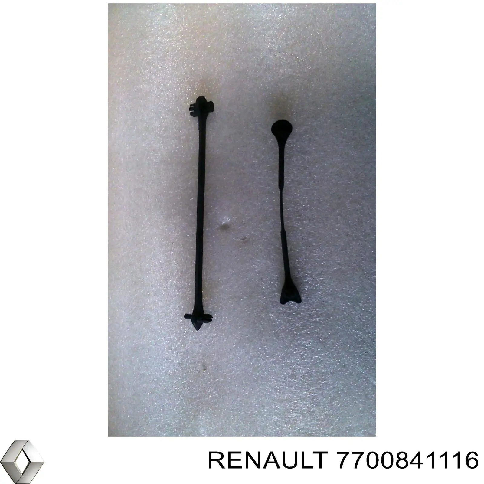 7700841116 Renault (RVI) 