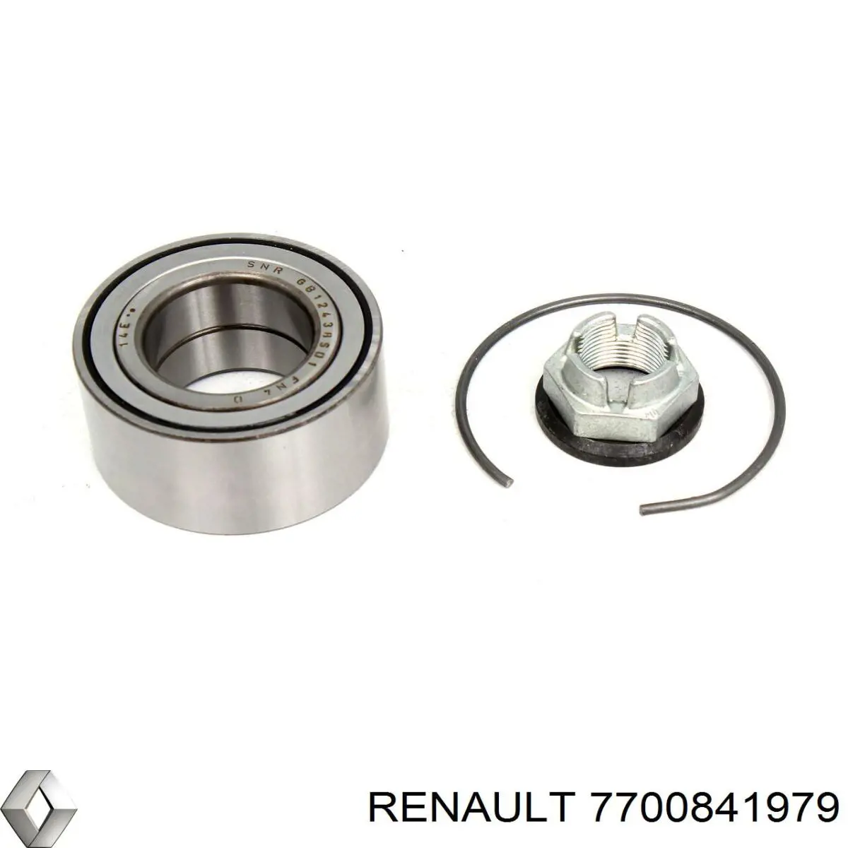 7700841979 Renault (RVI)