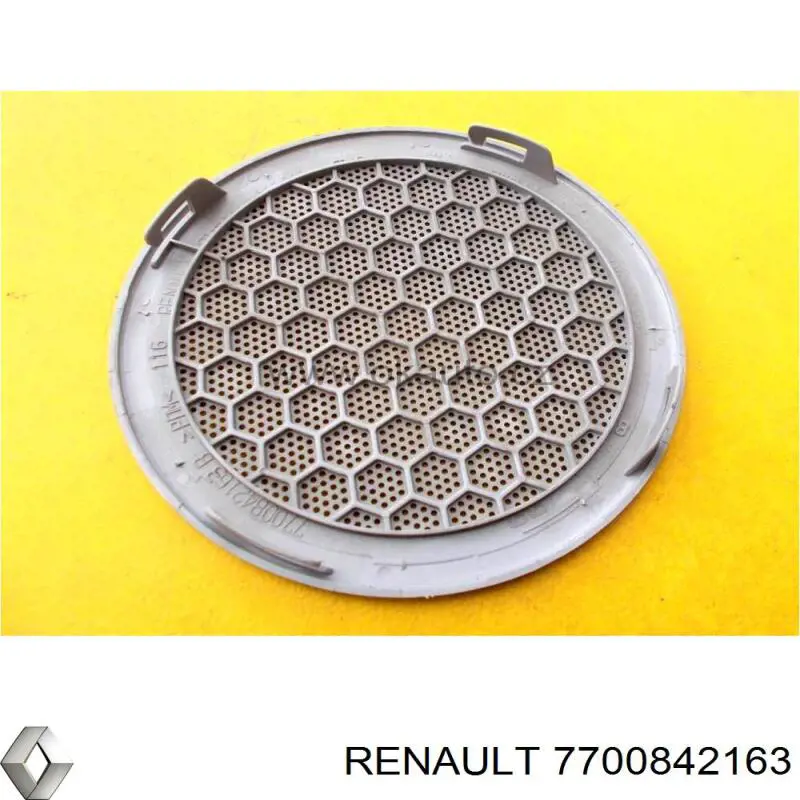  7700842163 Renault (RVI)