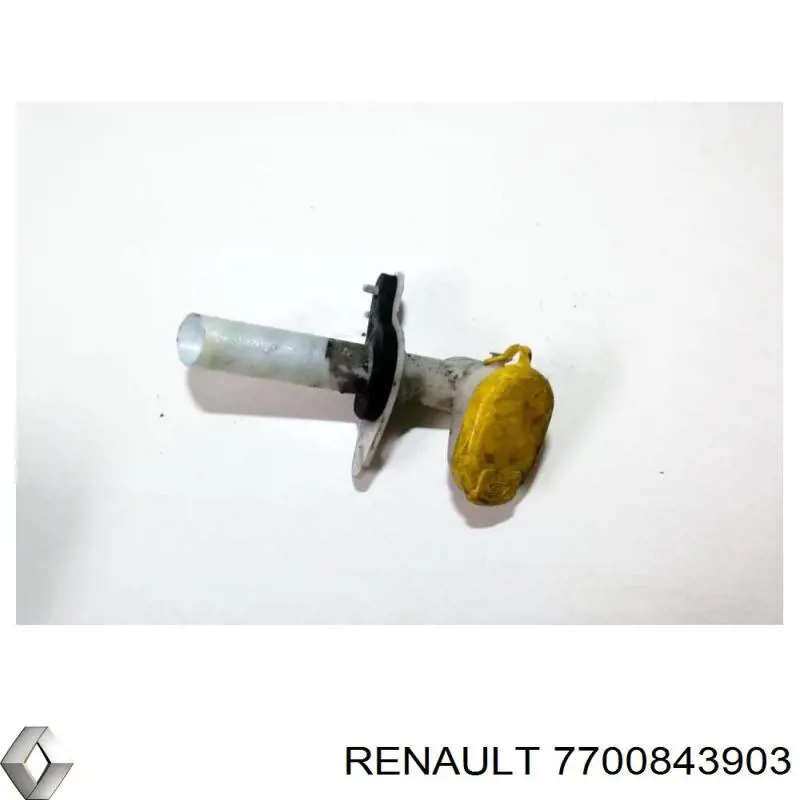  7700843903 Renault (RVI)