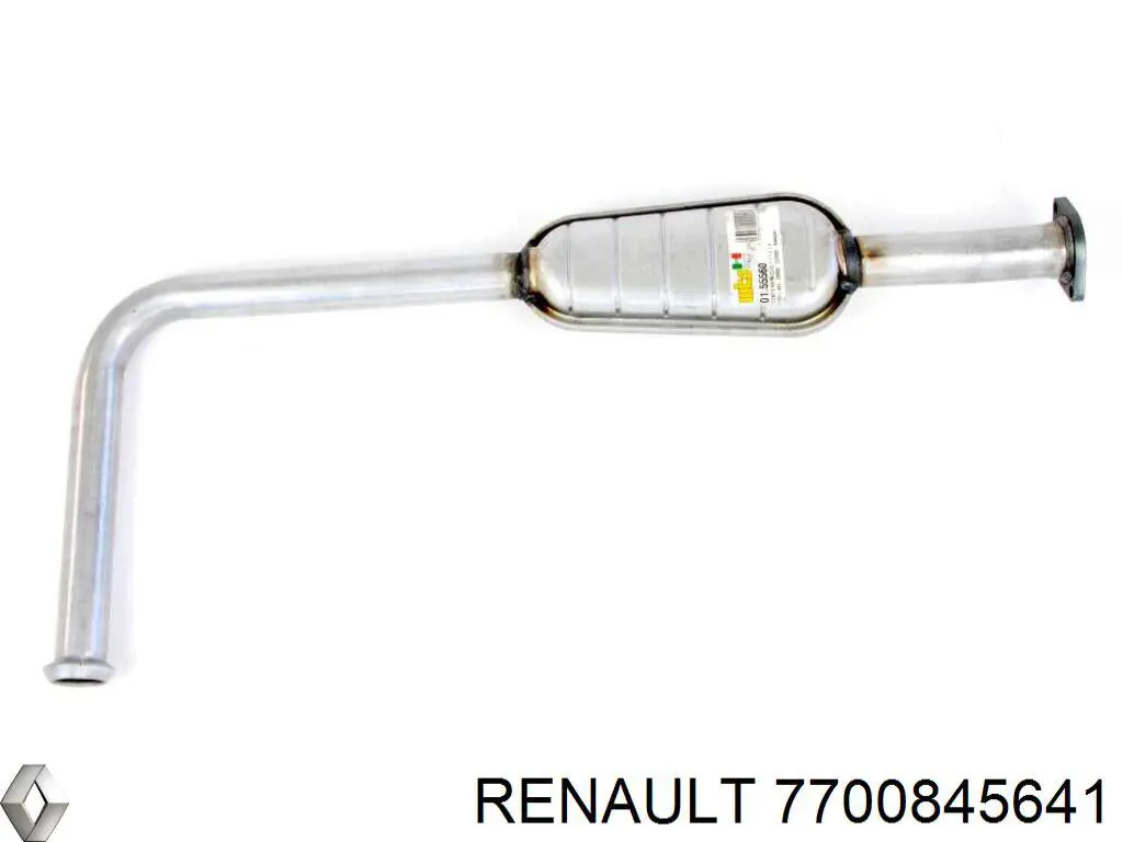  7700845641 Renault (RVI)