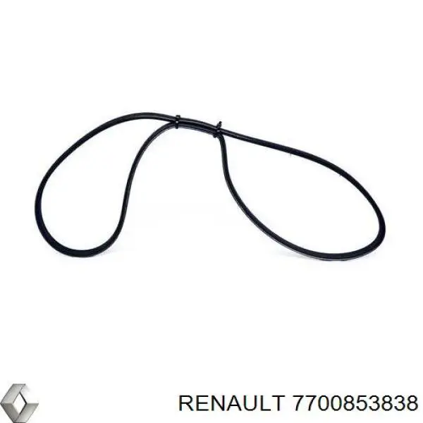 Купить 7700853838 Renault (RVI) Ремень генератора