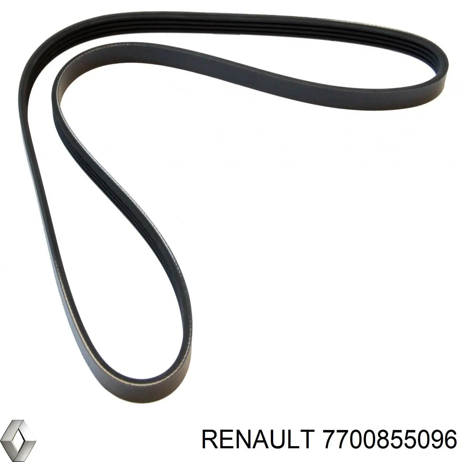 Купить 7700855096 Renault (RVI) Ремень генератора
