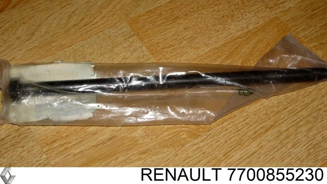  7700855230 Renault (RVI)