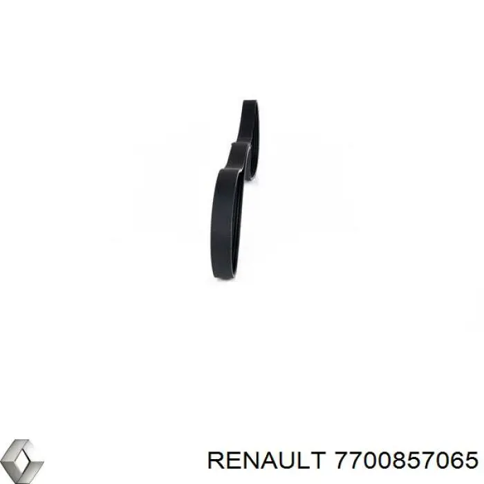 7700857065 Renault (RVI)