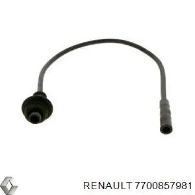  7700857981 Renault (RVI)