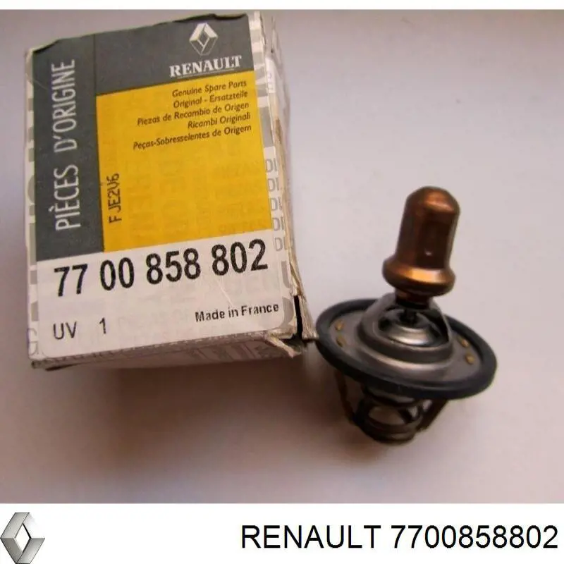 7700858802 Renault (RVI)