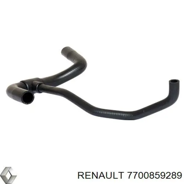  7700859289 Renault (RVI)