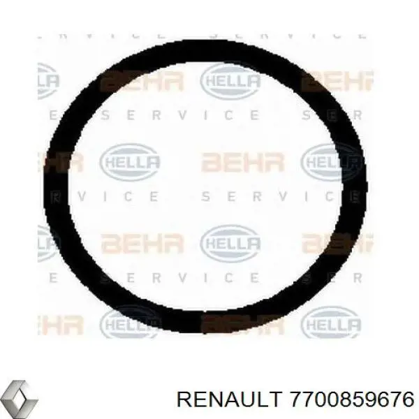 Компрессор кондиционера 7700859676 Renault (RVI)