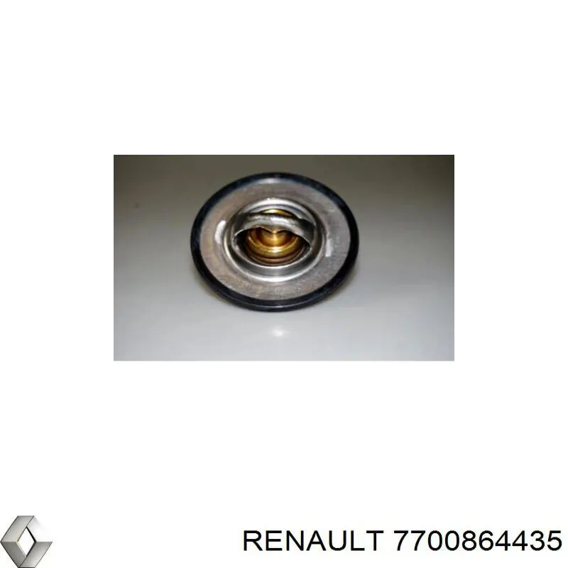  7700864435 Renault (RVI)