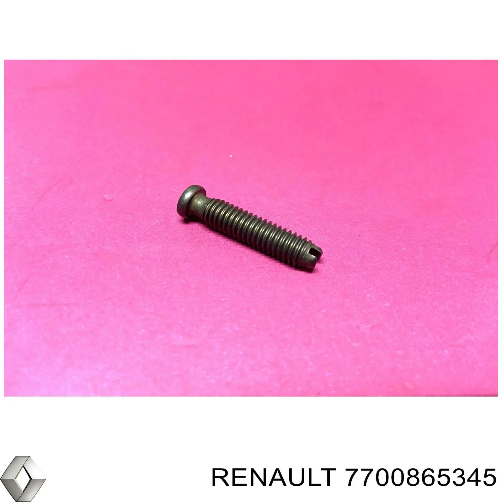 Болт рокера клапана Renault (RVI) 7700865345