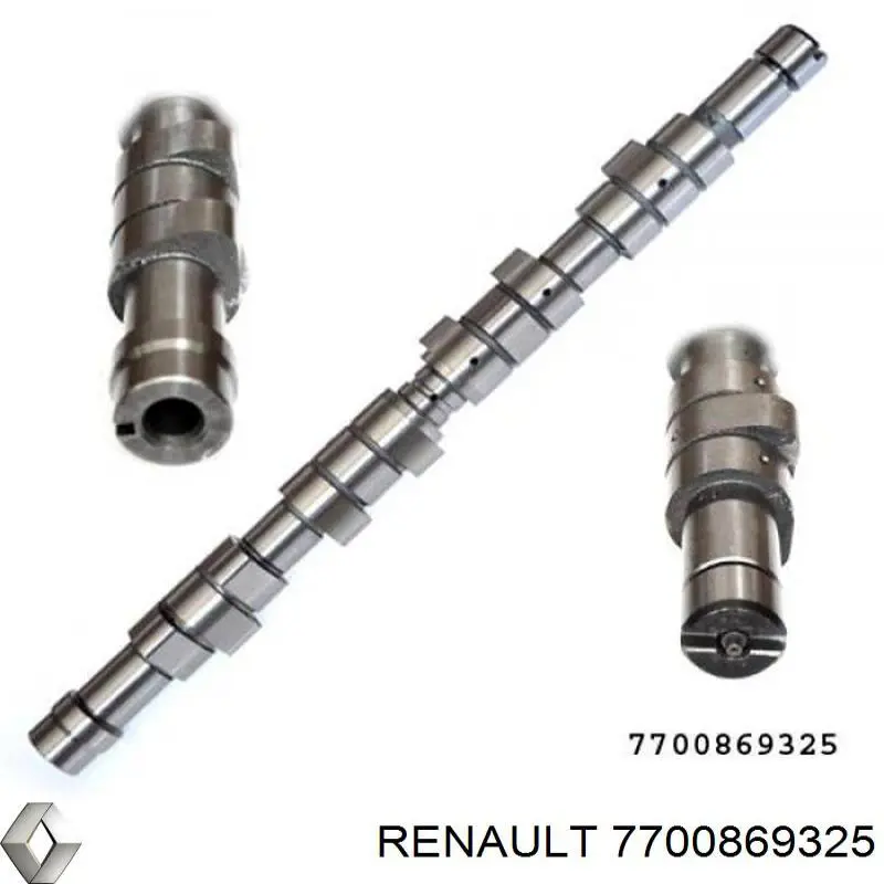 7700869325 Renault (RVI)