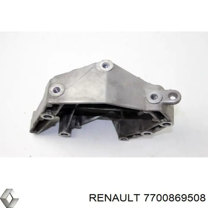  7700869508 Renault (RVI)