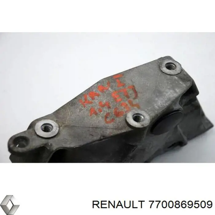 Купить 7700869509 Renault (RVI) 