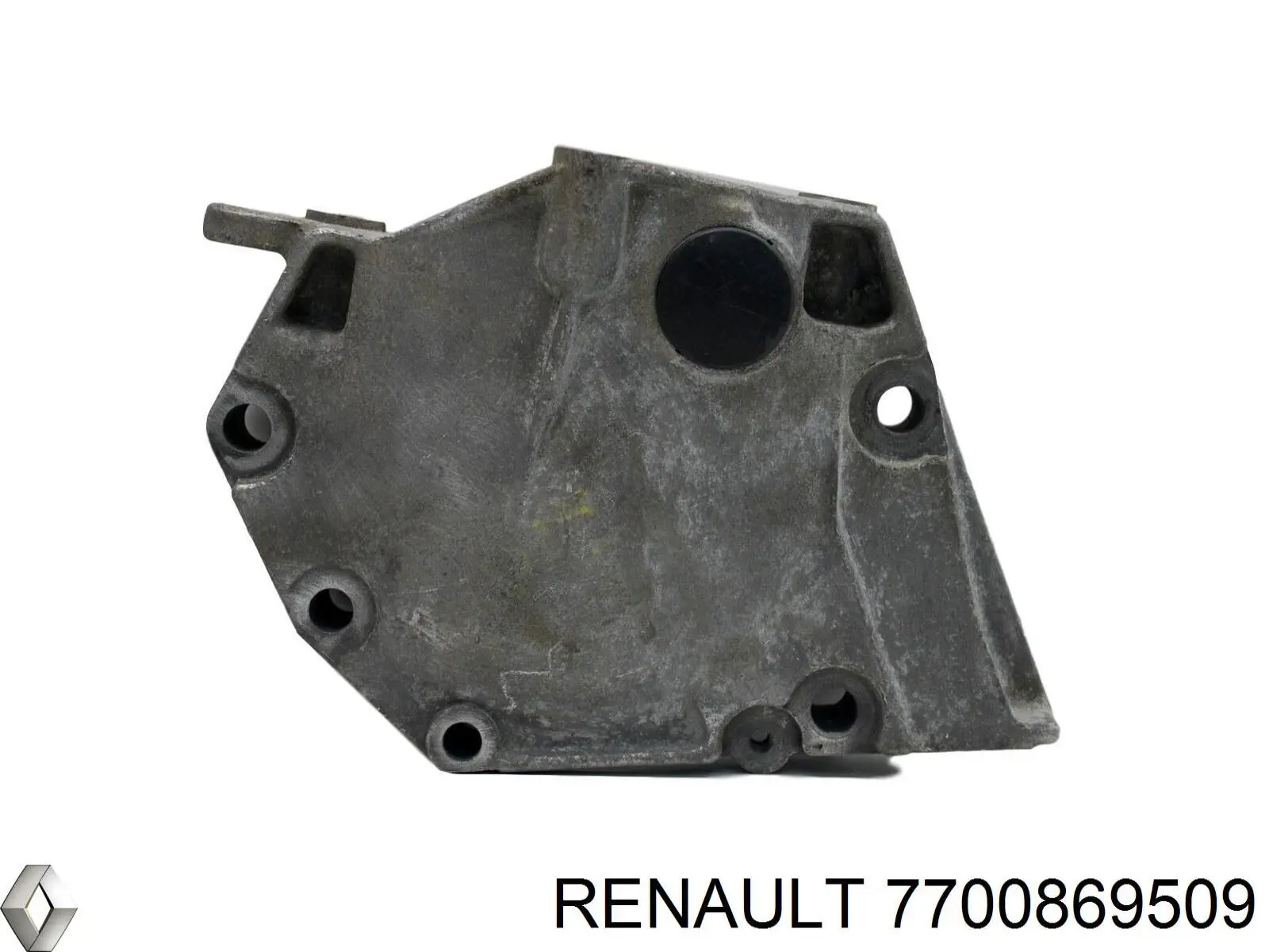 7700869509 Renault (RVI) 