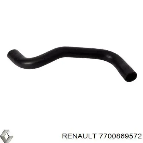  7700869572 Renault (RVI)