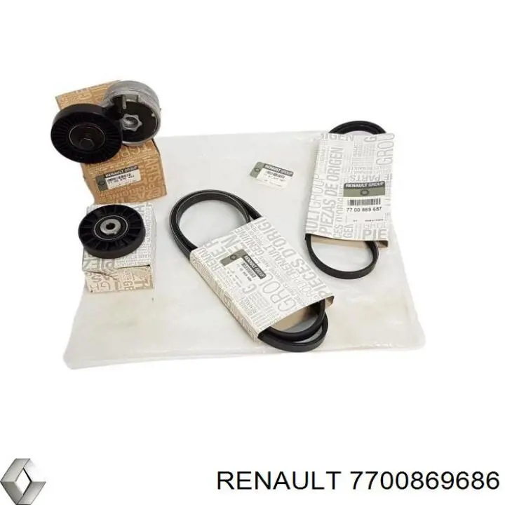7700869686 Renault (RVI)