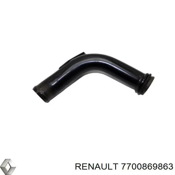 7700869863 Renault (RVI) 