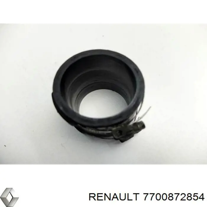  7700872854 Renault (RVI)