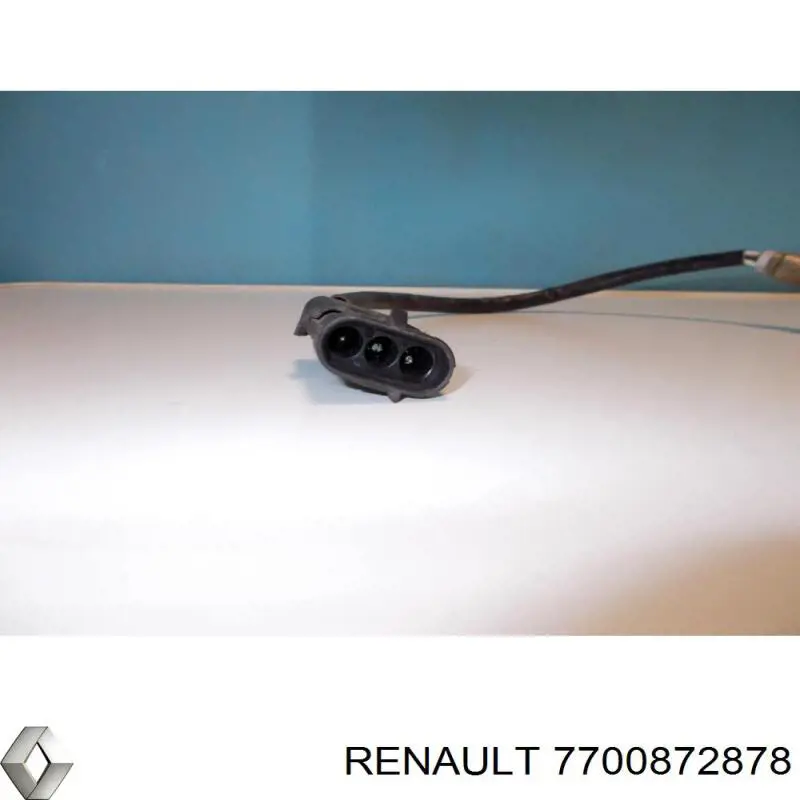 7700872878 Renault (RVI)