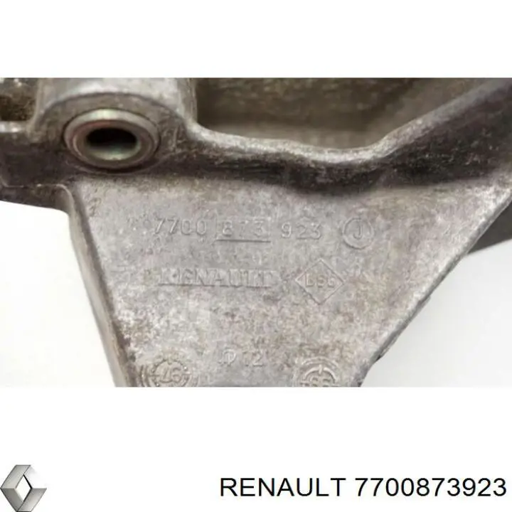 7700873923 Renault (RVI) 