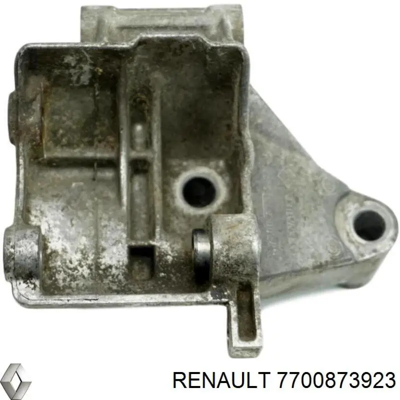  7700873923 Renault (RVI)