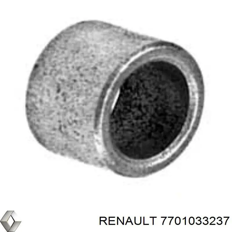 7701033237 Renault (RVI) bucha do motor de arranco
