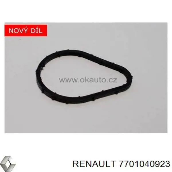 Прокладка термостата 7701040923 Renault (RVI)