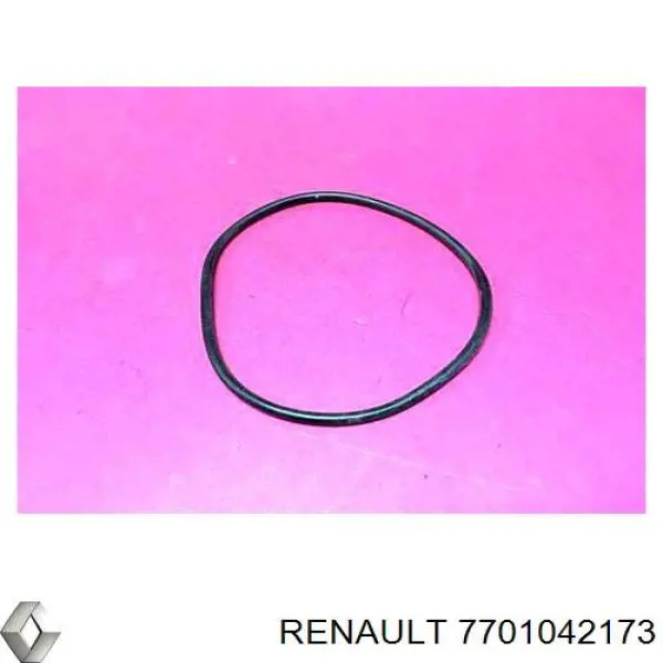 Купить 7701042173 Nissan/Infiniti Сальник вакуумного насоса