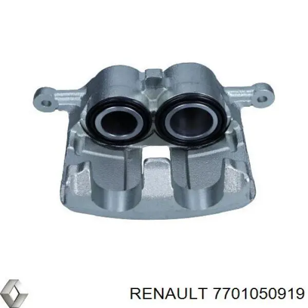 7701050919 Renault (RVI)