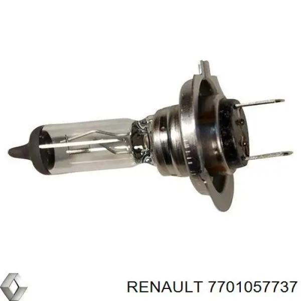 Bombilla halógena 7701057737 Renault (RVI)