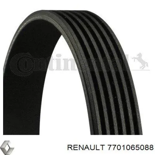 Correa trapezoidal 7701065088 Renault (RVI)