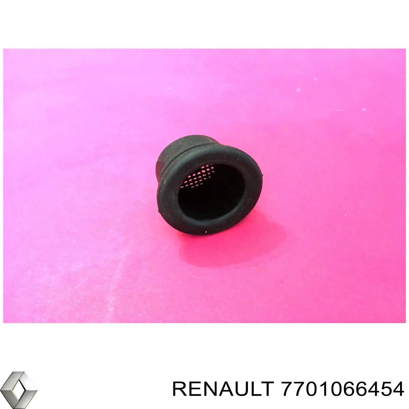 7701066454 Renault (RVI) vedante anular de bomba de fluido para lavador