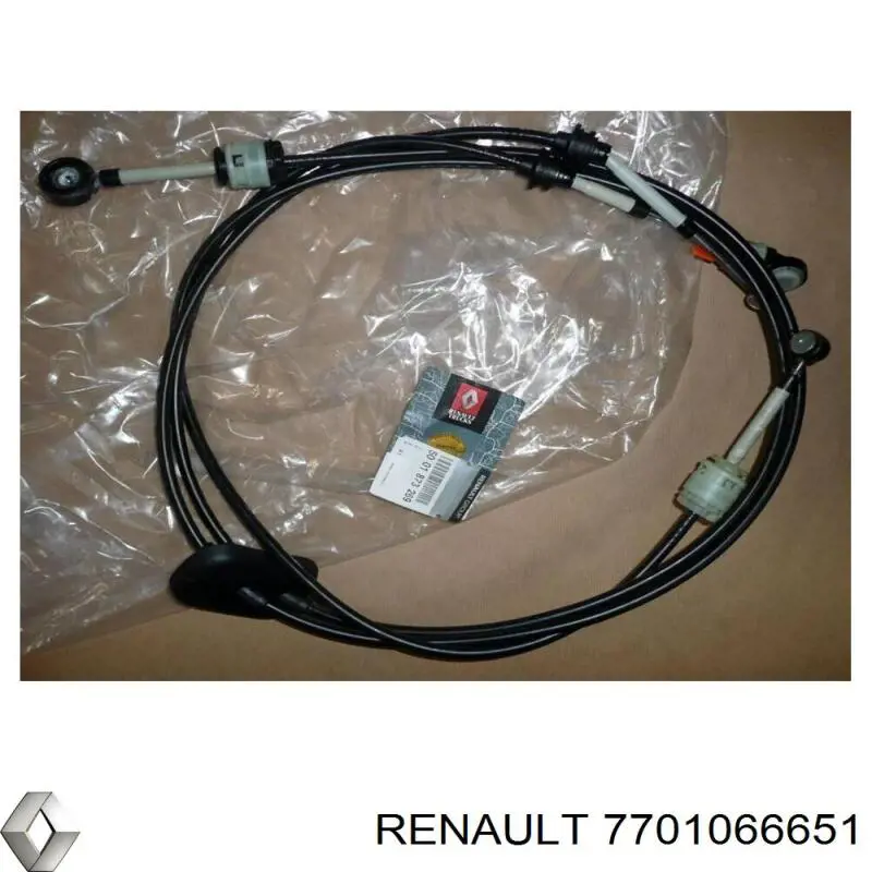  7701066651 Renault (RVI)