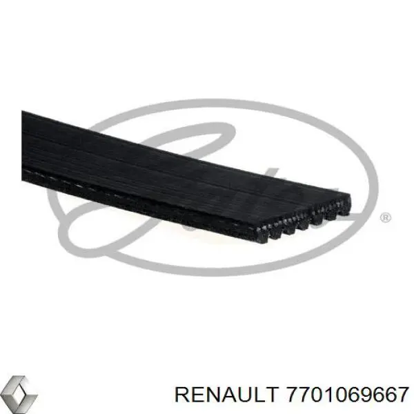 Купить 7701069667 Renault (RVI) Ремень генератора