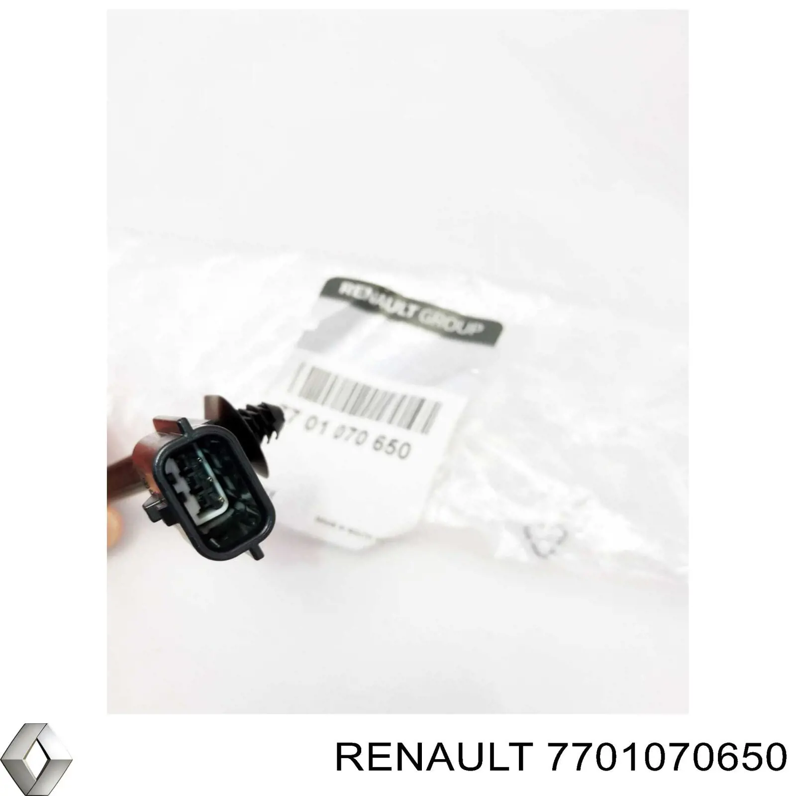 7701070650 Renault (RVI)