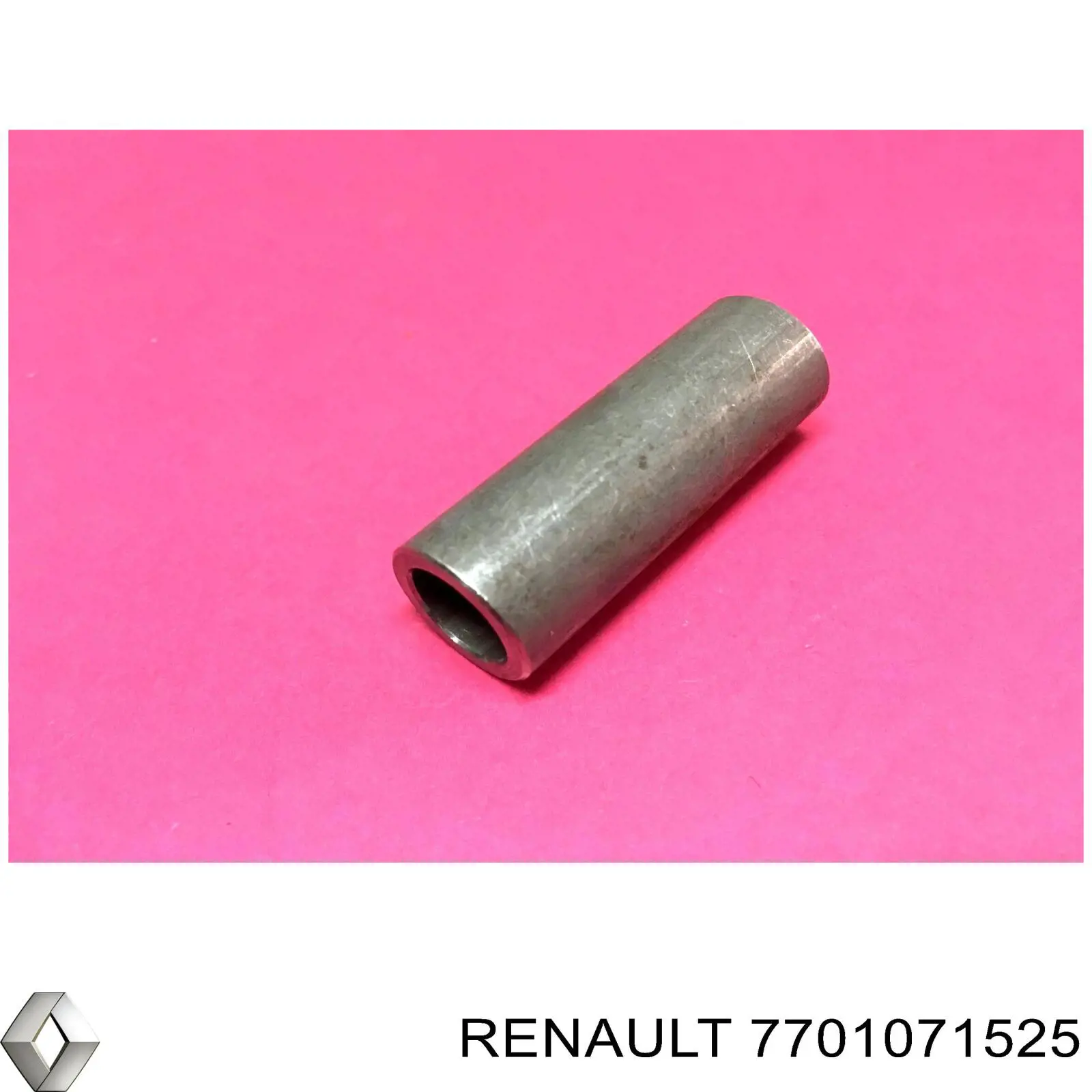 7701051743 Renault (RVI) bucha do eixo de pedal de embraiagem